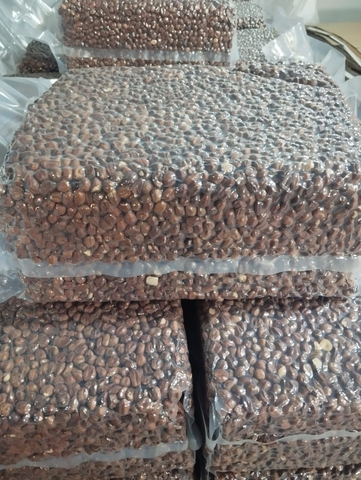 In-Shell Hazelnut Products