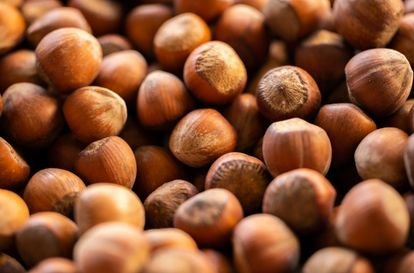 Georgian Hazelnuts Processing