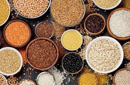 Global Export & Logistics