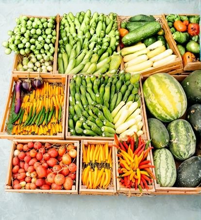 Agricultural Food Supplies