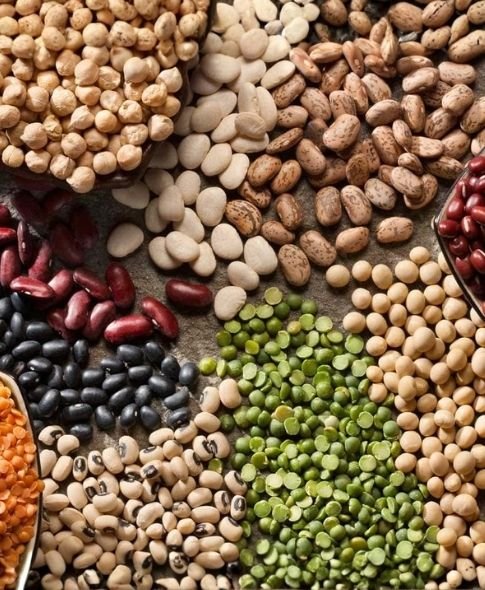 Georgian Hazelnuts Export